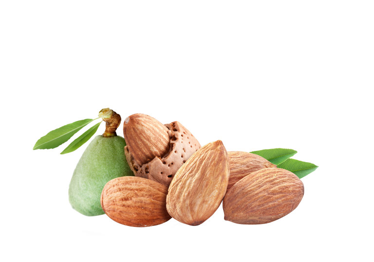 amandes